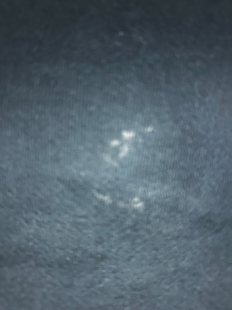 【希少】Hanes ヘインズ 90s プレミアムウェイト スウェット ブラック