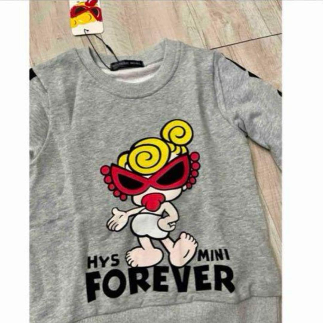 ヒスミニセットアップ