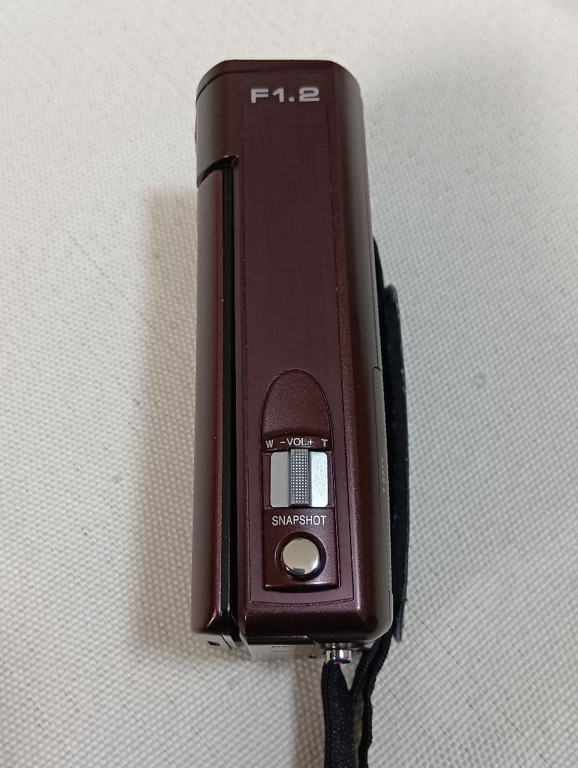 ビクター ビデオカメラ JVC Everio GZ-VX895-T（ブラウン）