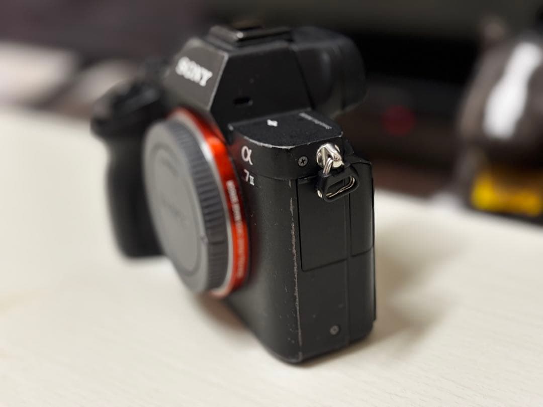 ド*ン様 SONY α7Ⅱ ILCE−7M2