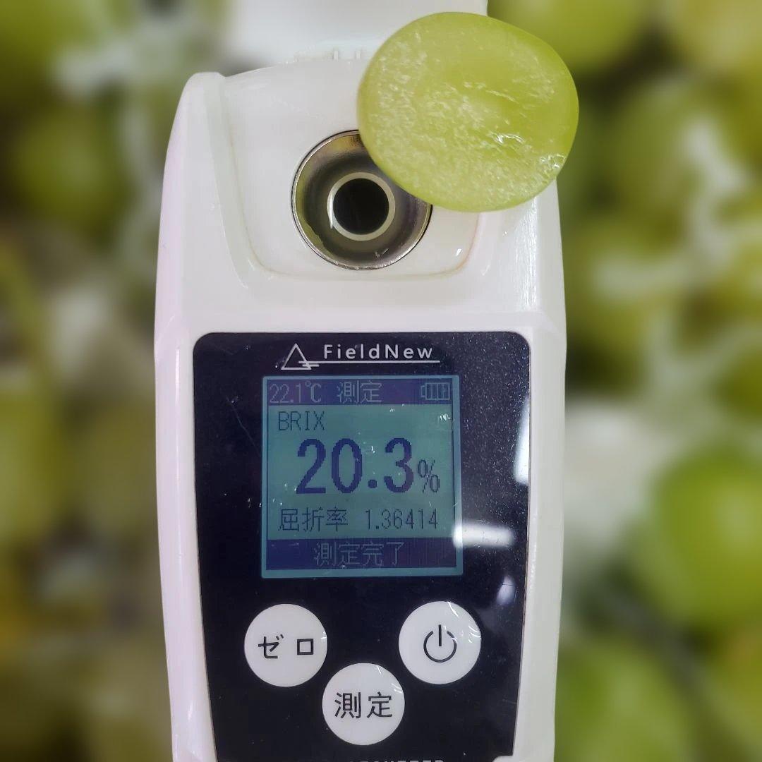 3️⃣ 山梨県産 シャインマスカット １1房入り 箱込み5.5キロ