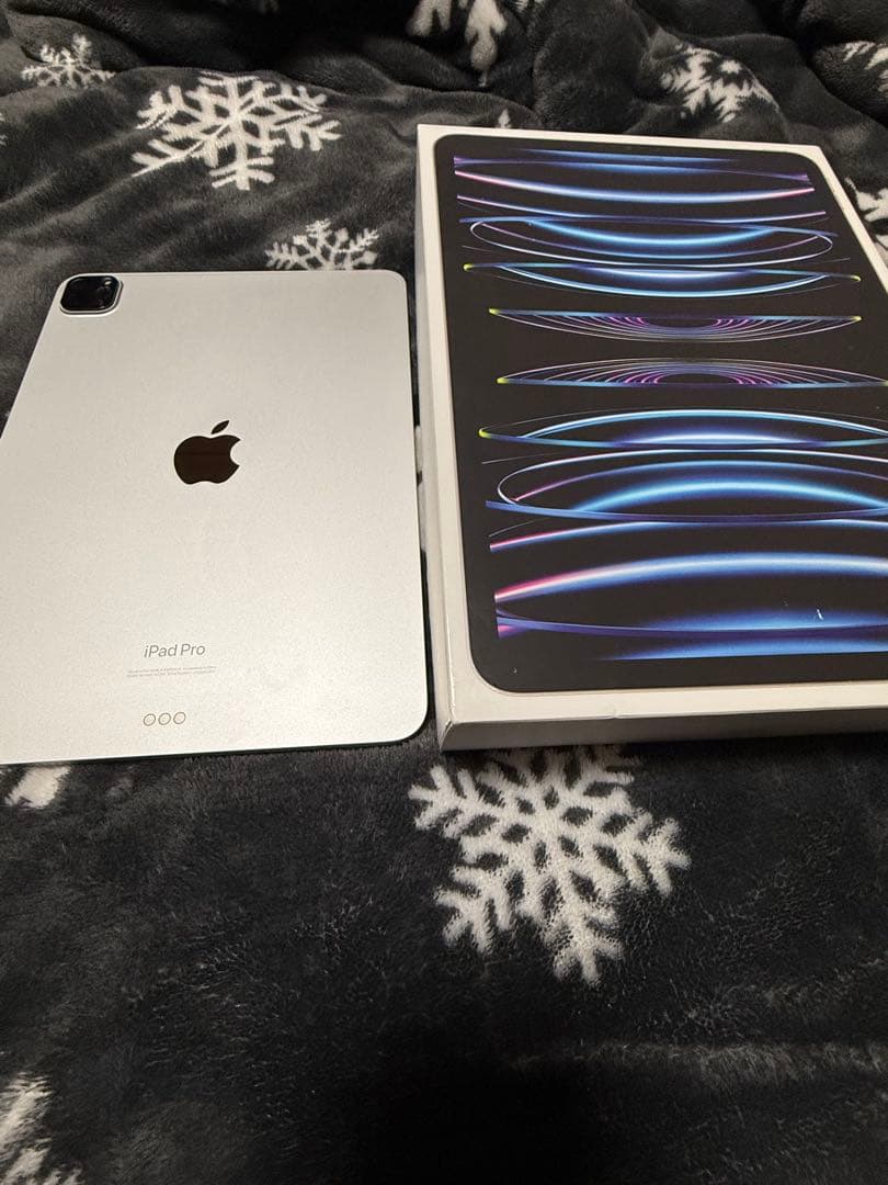 iPad Pro 11インチ第4世代128GB 本体バッテリー容量94% 箱付き