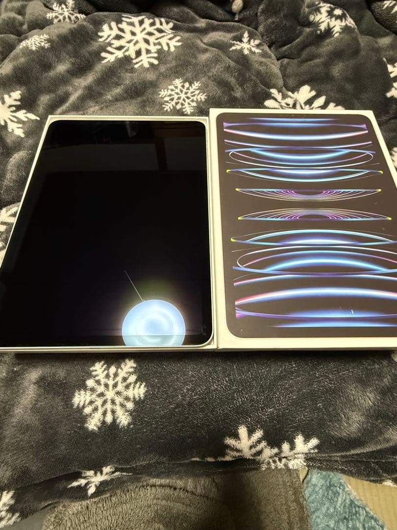 iPad Pro 11インチ第4世代128GB 本体バッテリー容量94% 箱付き