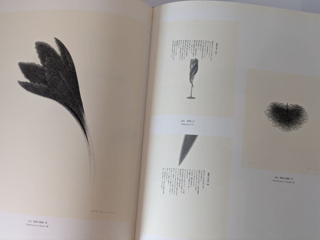 柄澤齊 木口木版画集 1971-1996 増補新版 サイン入