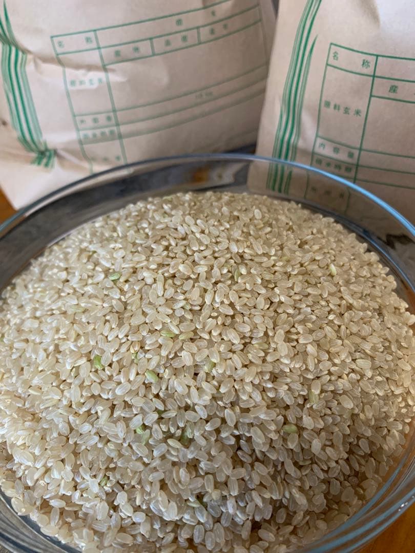 令和7年 徳島県産コシヒカリ 玄米 箱込10kg♦︎畑での肥料・農薬不使用
