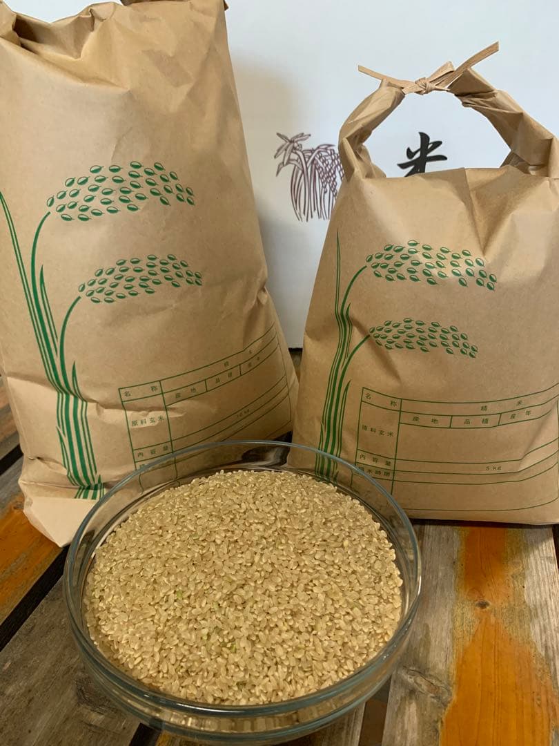 令和7年 徳島県産コシヒカリ 玄米 箱込10kg♦︎畑での肥料・農薬不使用