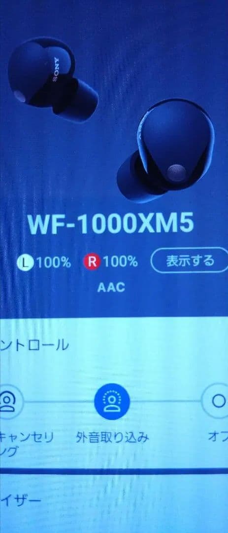 イヤホン wf-1000xm5