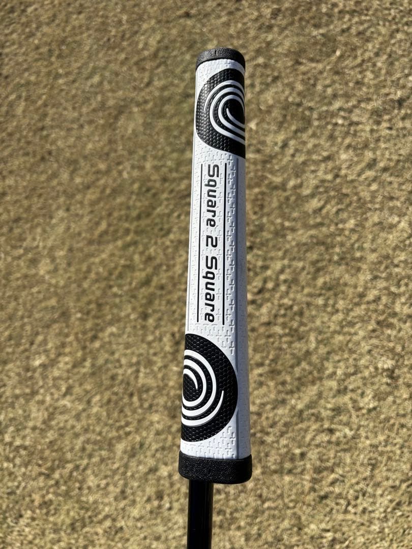 Ai-DUAL Square 2 Square JAILBIRD 34インチ