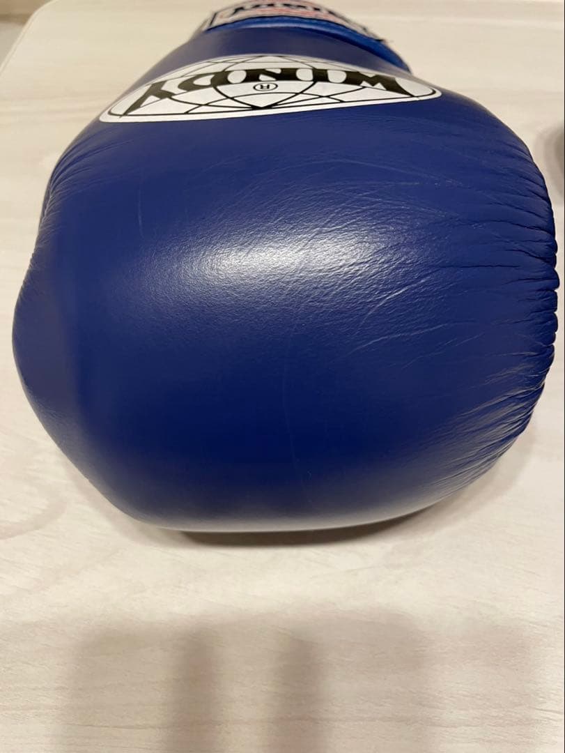 WINDY ボクシンググローブ 12oz BGVH 青