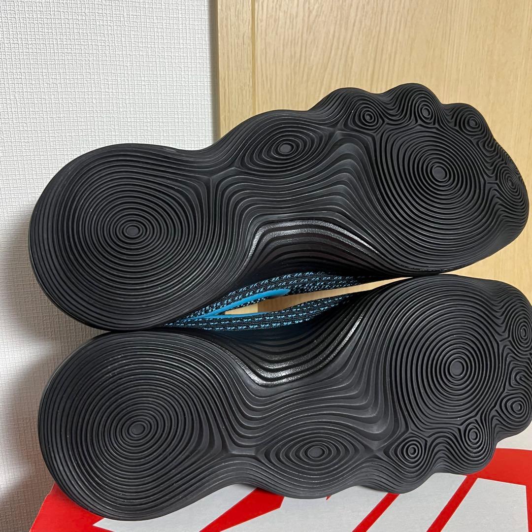 日本未発売カラー　NIKE HYPERDUNK LOW 2017 バッシュ