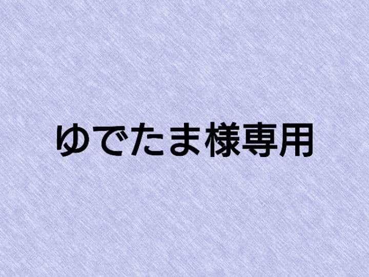【専用出品】②