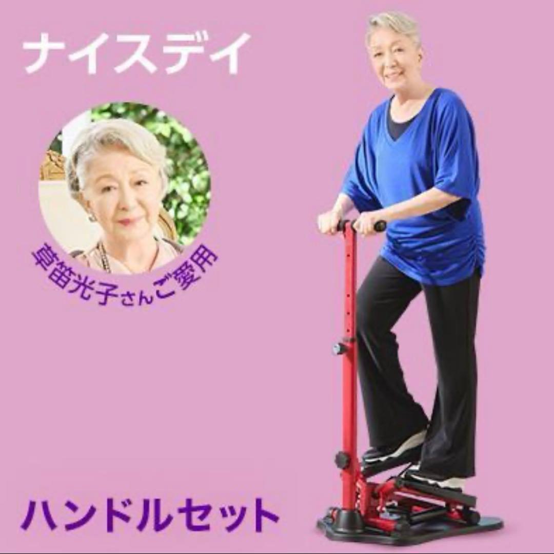 ナイスデイ☆ステッパー[取り扱い説明書付き]