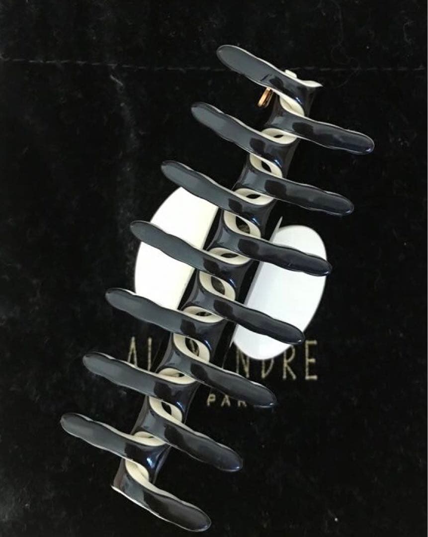 お問い合わせの方専用　ALEXANDRE DE PARIS Mサイズヘアクリップ