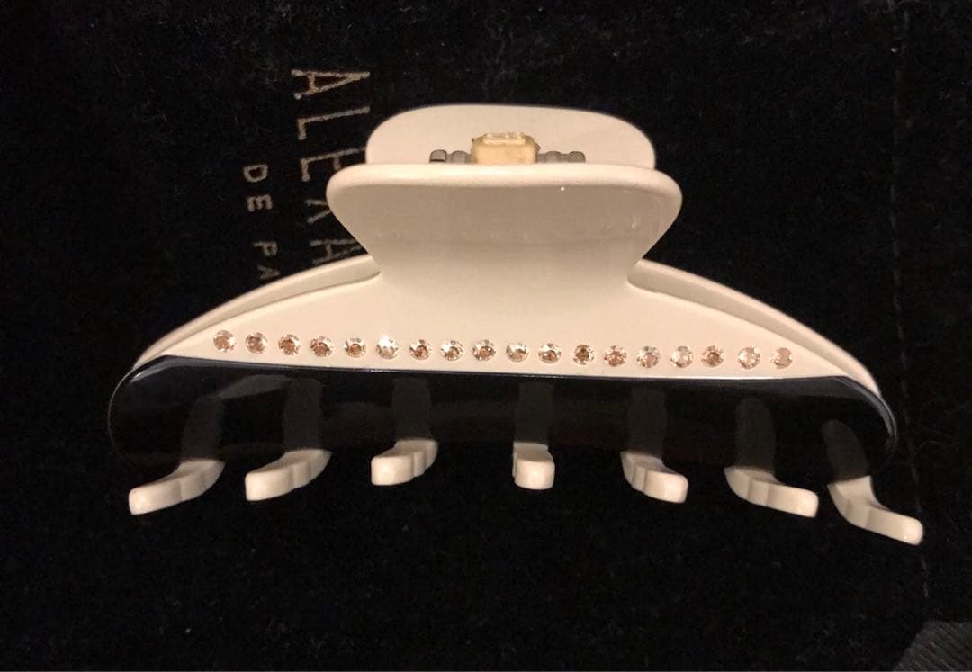 お問い合わせの方専用　ALEXANDRE DE PARIS Mサイズヘアクリップ