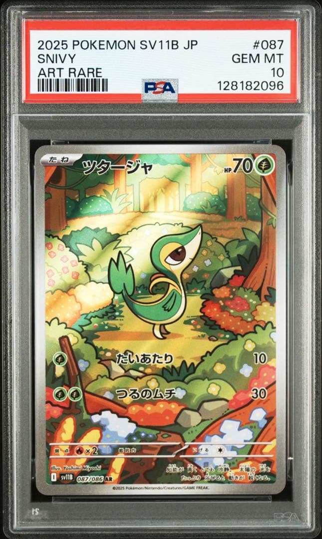 ★PSA10 3連番★ ツタージャ ジャノビー ジャローダex SAR