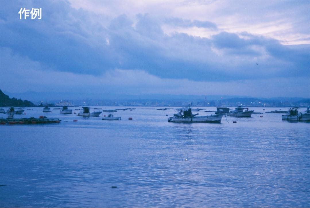 【動作確認済み】OLYMPUS オリンパス XA2