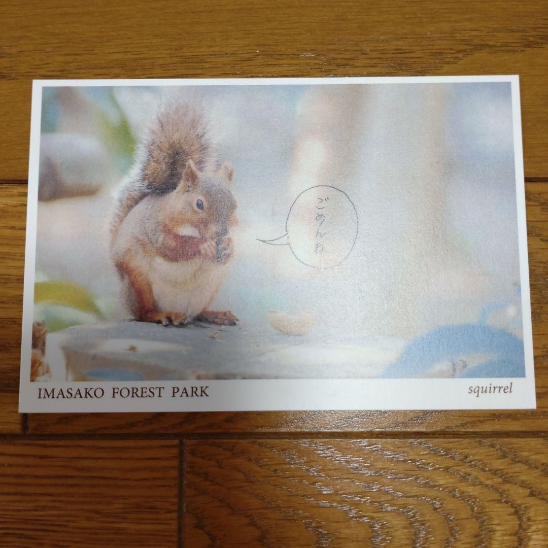 わたしを離さないで DVD-BOX〈6枚組〉綾瀬はるか　三浦春馬