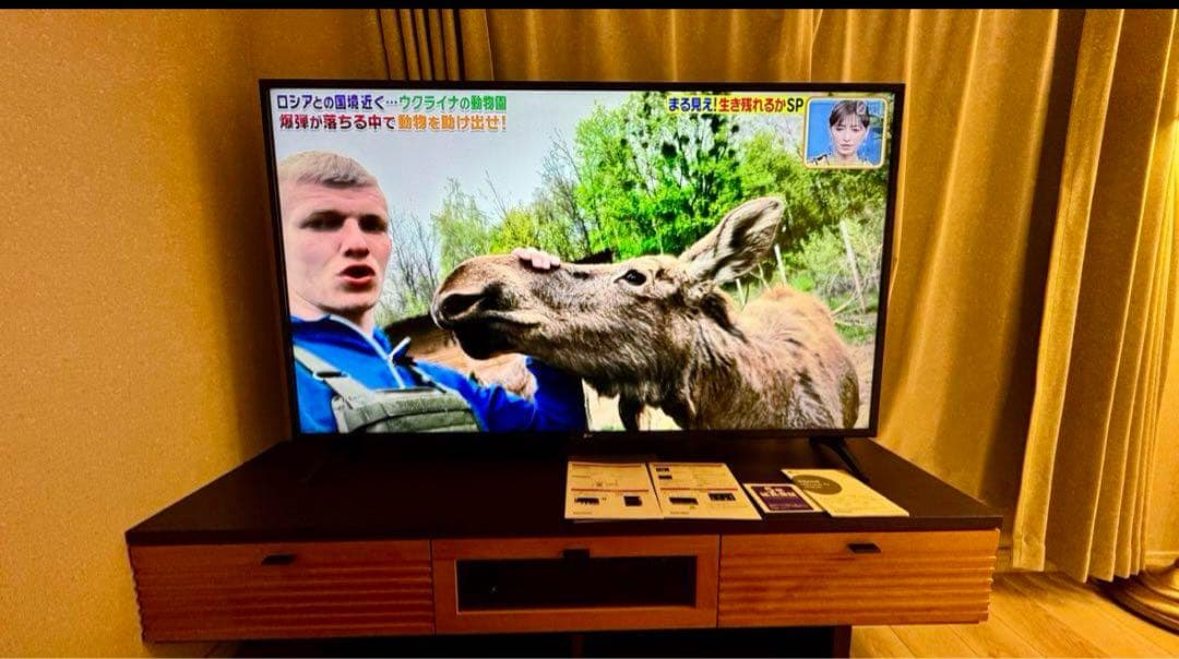 [yucca-tacca]LG 液晶テレビ 60インチ