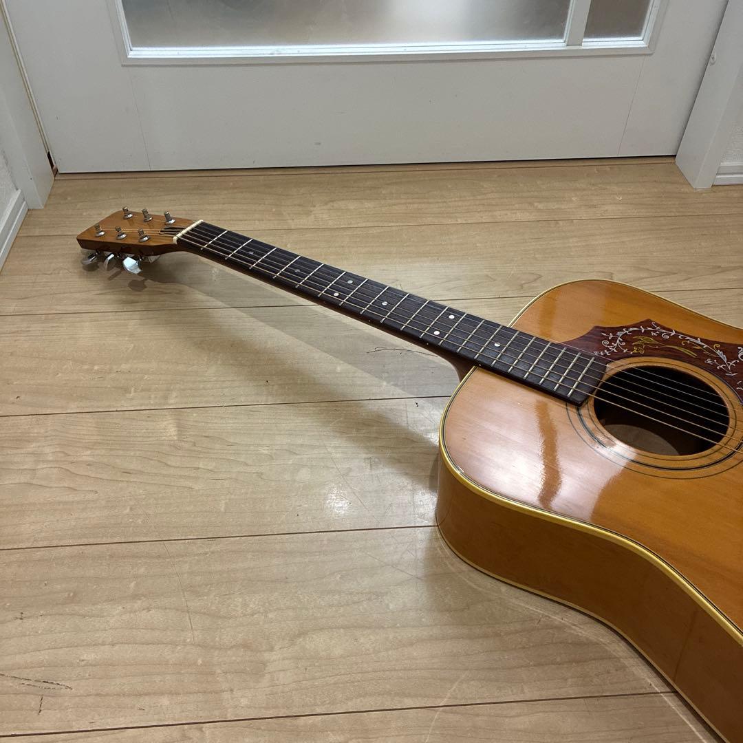 激レア　ZENON 全音　アコースティックギター　ハミングバードタイプ