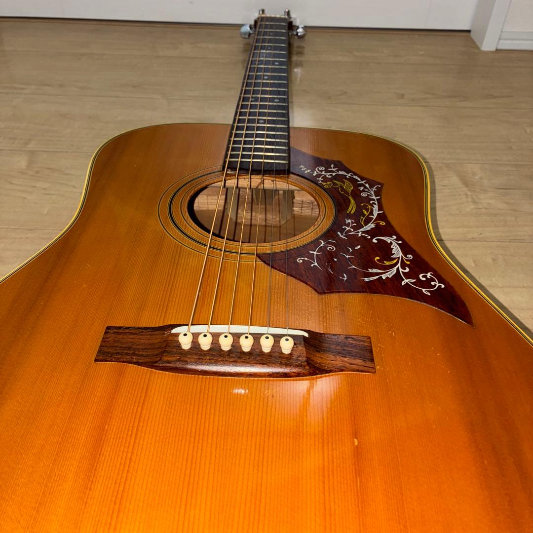 激レア　ZENON 全音　アコースティックギター　ハミングバードタイプ