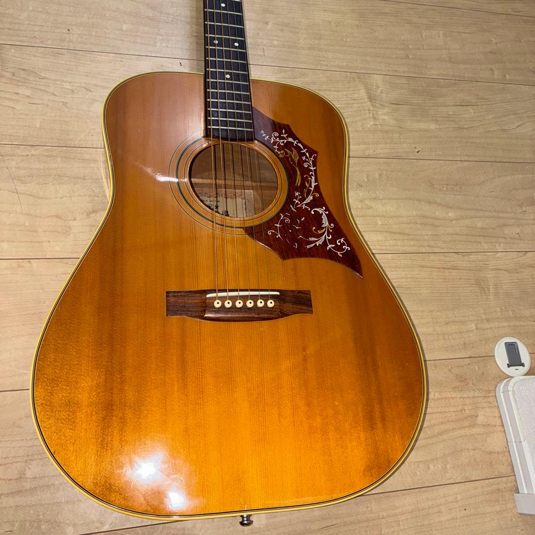 激レア　ZENON 全音　アコースティックギター　ハミングバードタイプ