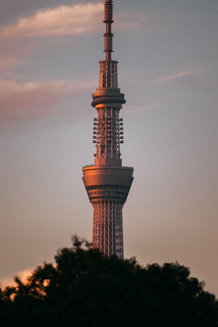SIGMA APO 300mm F4 Macro キャノン EFマウント