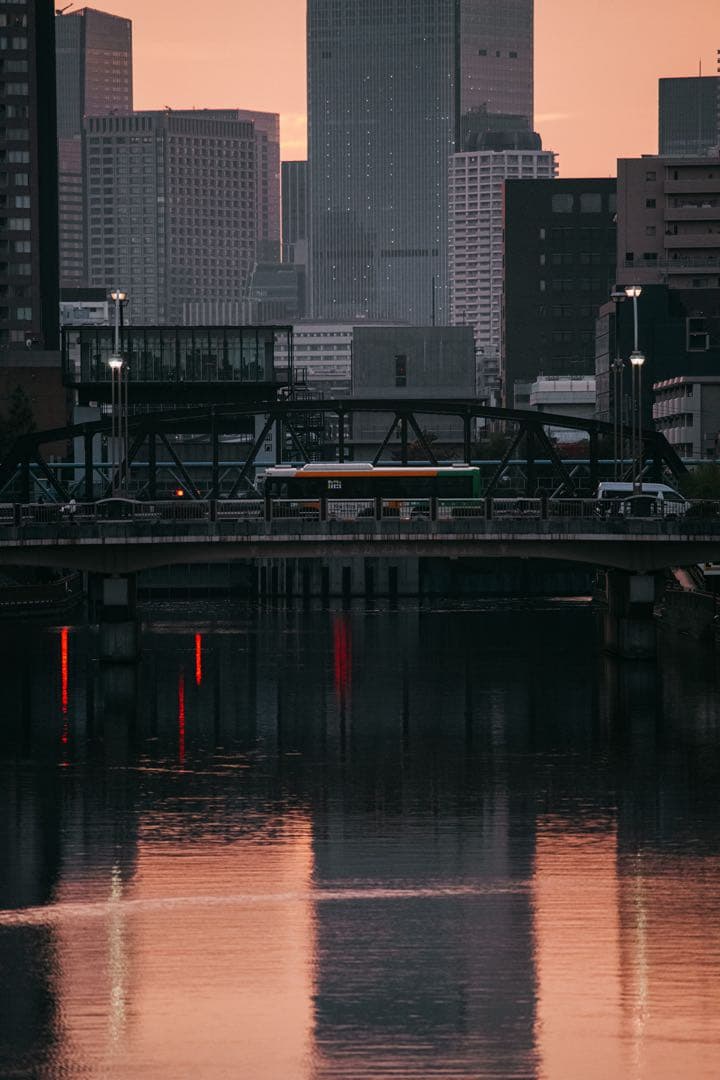 SIGMA APO 300mm F4 Macro キャノン EFマウント