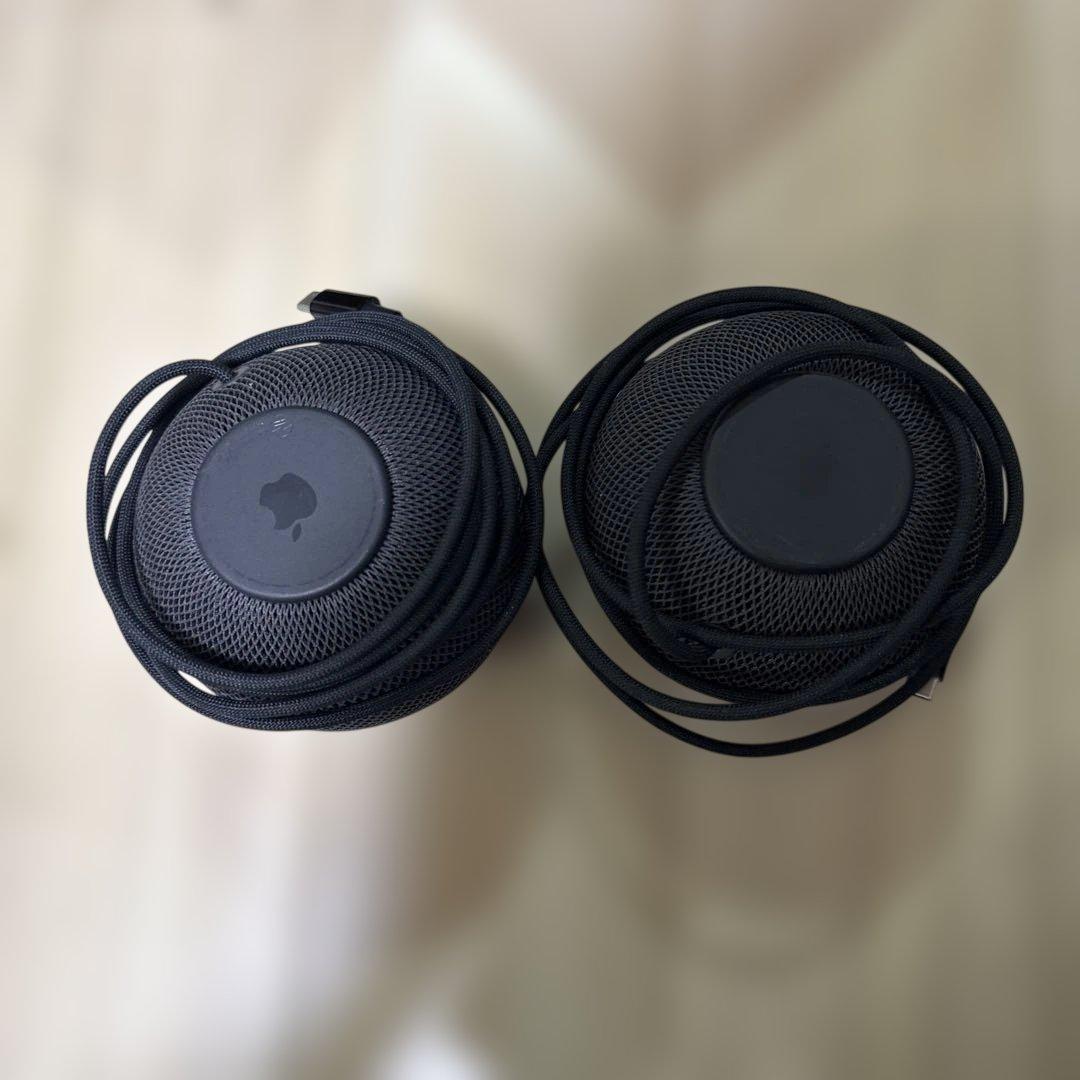 Pod mini スペースグレー 2個セット