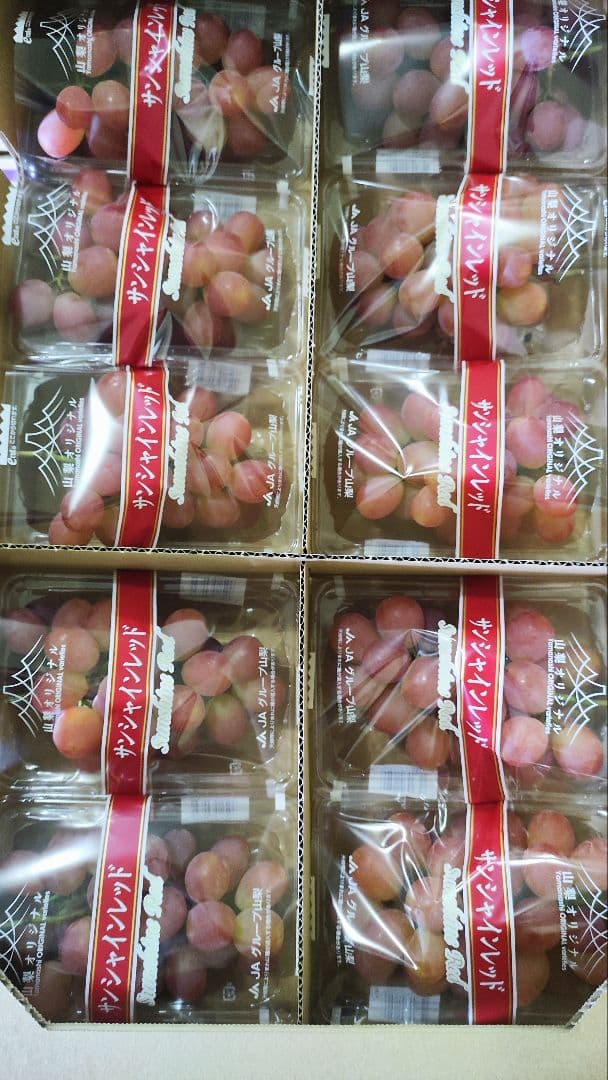 N*O様 サンシャインレッド　シャインマスカットより美味しい？