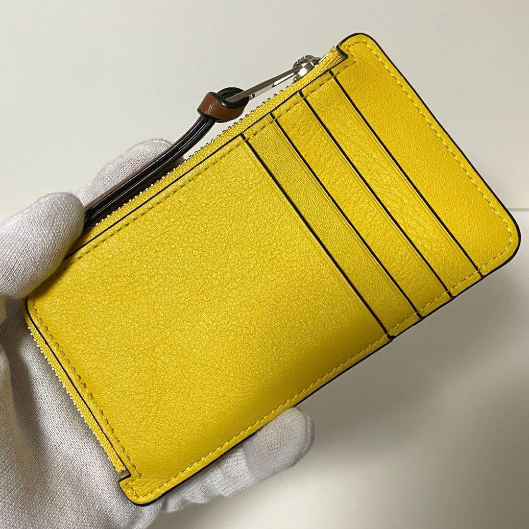 【極美品】ロエベ LOEWE ケース フラグメントケース パスケース