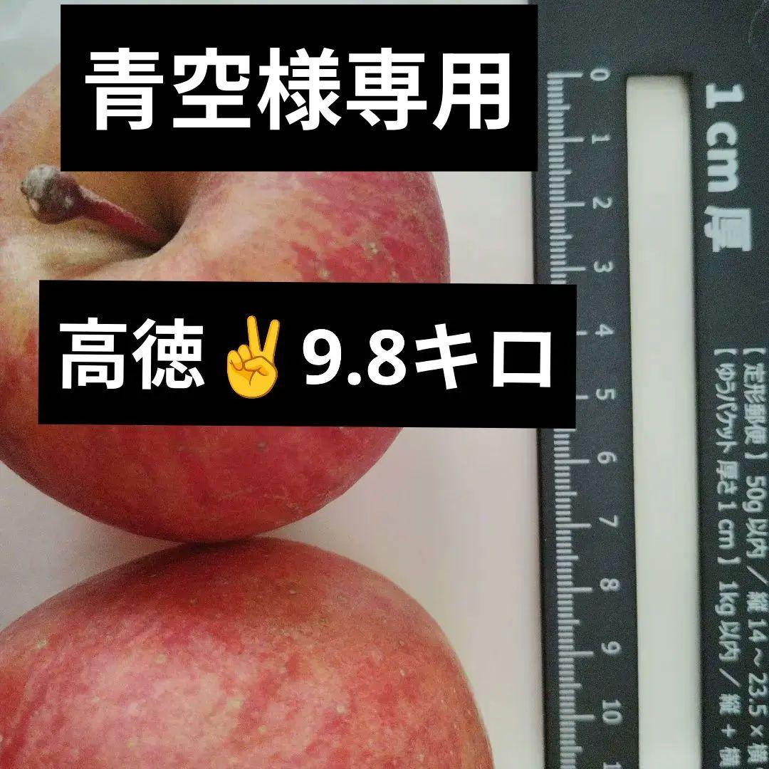 高徳りんご　約9.8キロ　クロネコ発送　運賃の関係で10キロ以内