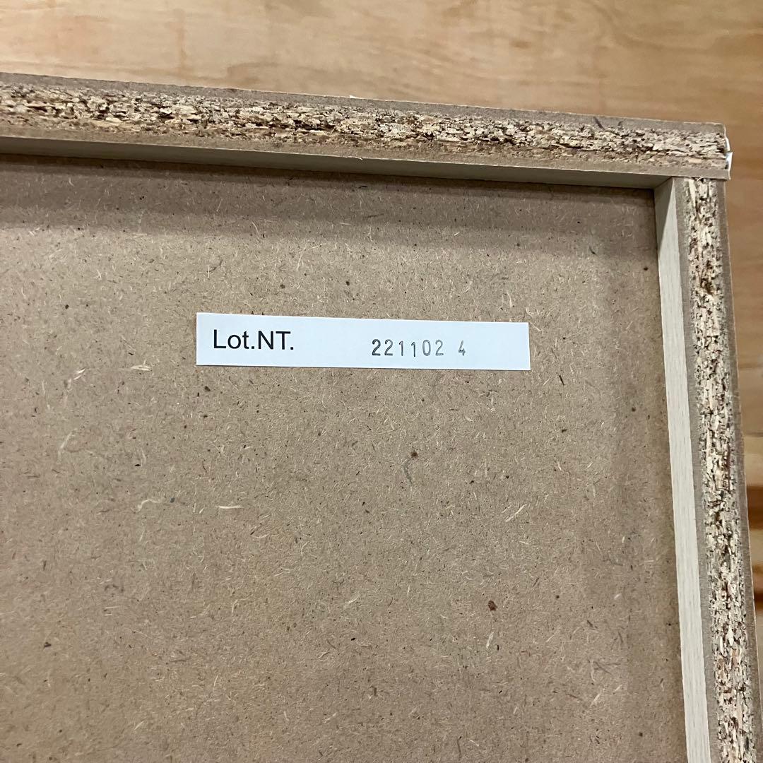 一都三県限定　配送設置無料　ワードローブ　クローゼット　衣類収納　ニトリ