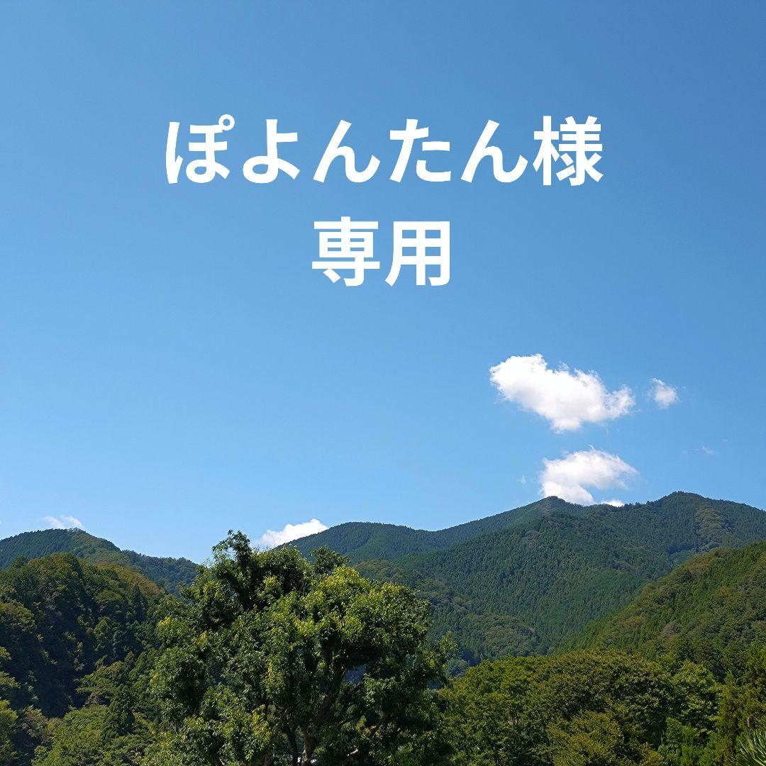 【ぽよんたん】作るの大変ペンダント パール 真珠 天然石