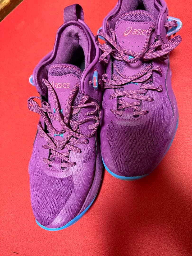 asics バスケットシューズ nova surge low2 28.5㎝