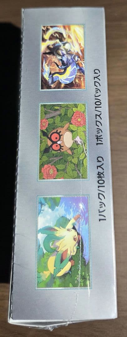 ポケモンカードテラスタルフェスex(シュリンク付き)