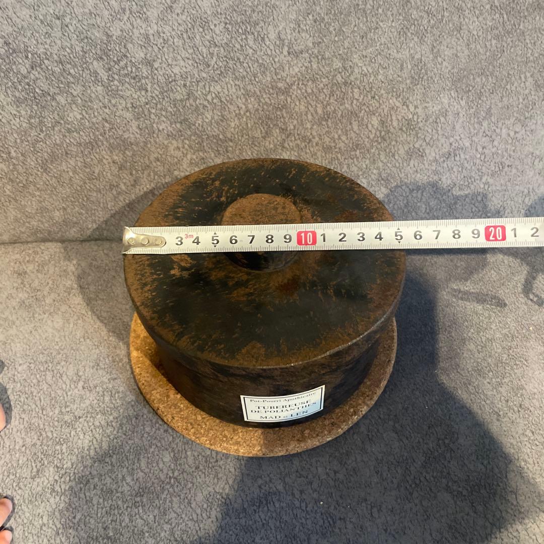 MAD et LEN tubereuse de polianthesマッドエレン