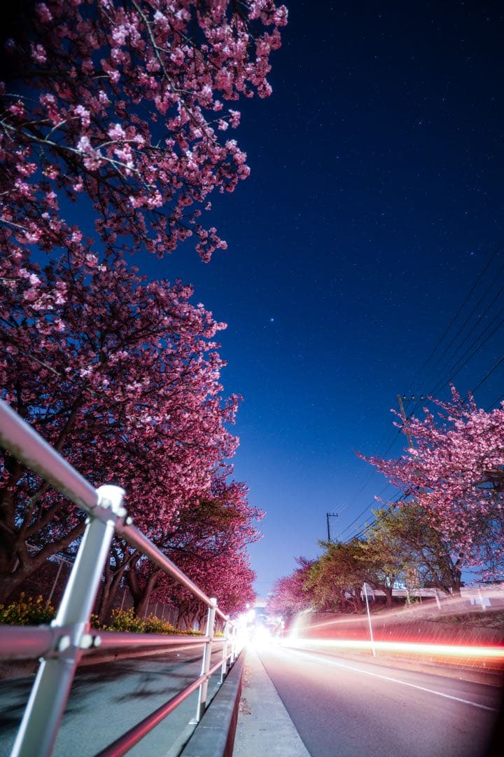 Canon R6 Mark II＋RF15-35mm F2.8L星景・夜景セット