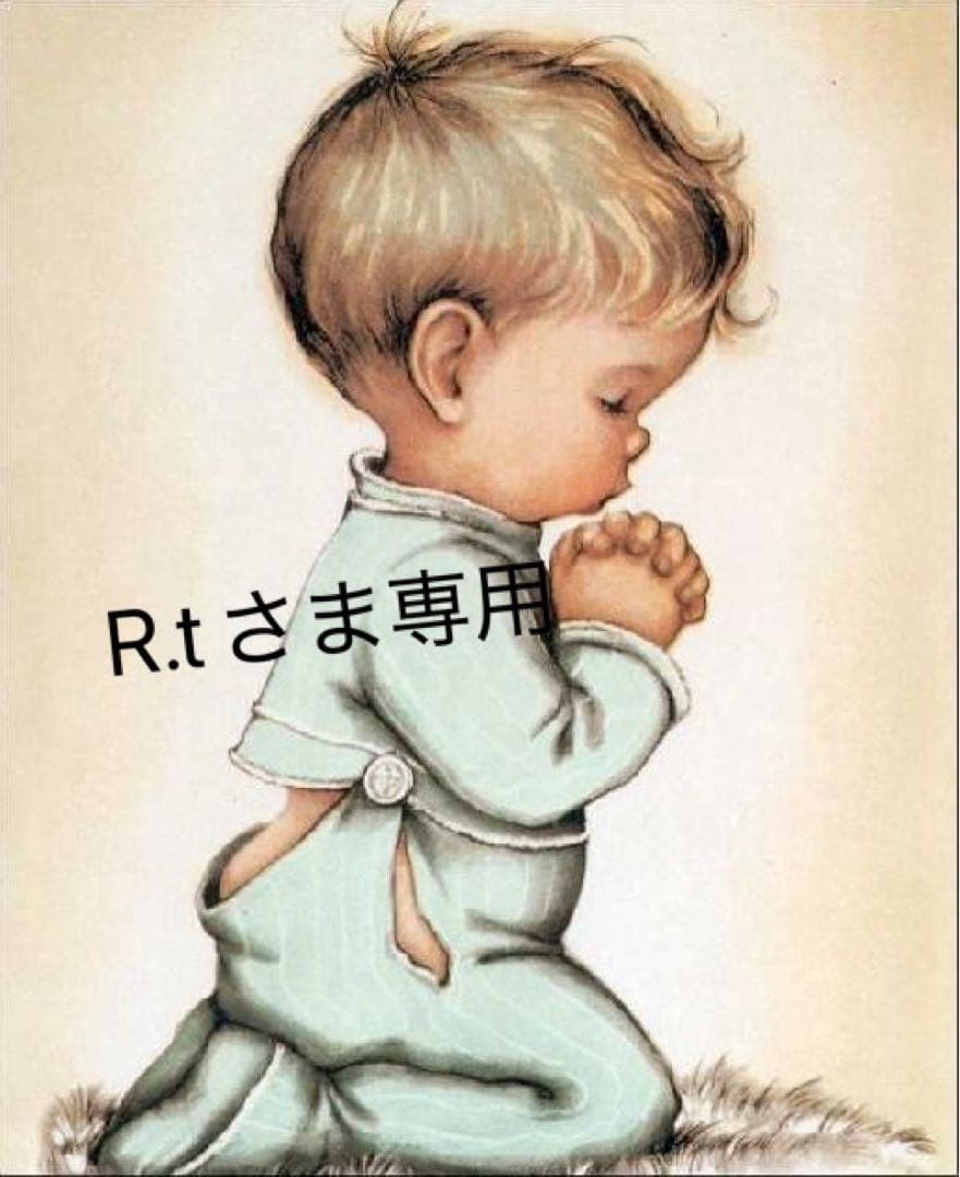 Petaboo Levante400 ペット用ドライヤー