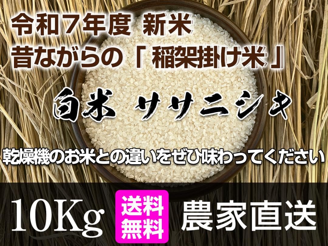 【新米】令和7年 昔ながらの「稲架掛け米」天日干し ササニシキ 白米 10Kg