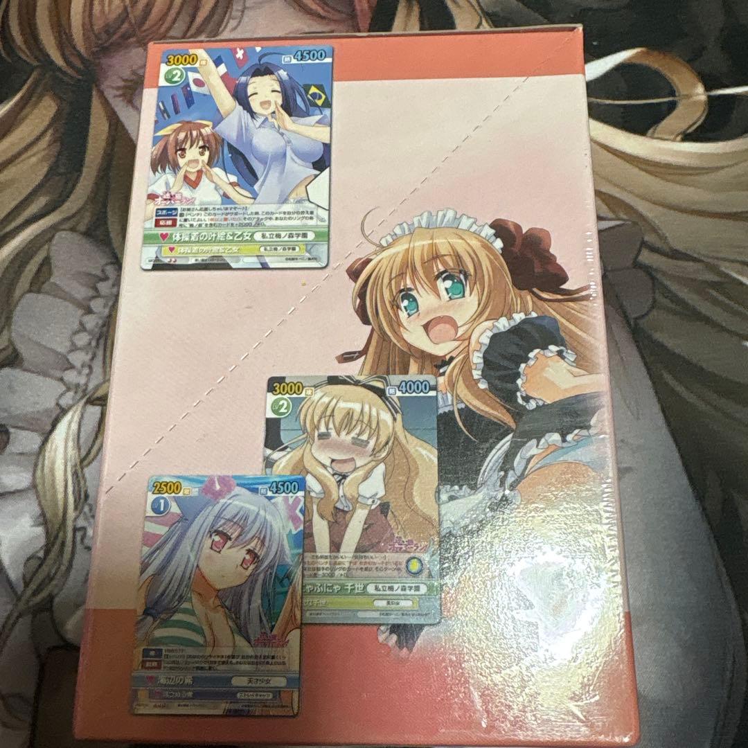 ヴィクトリースパーク　迷い猫オーバーラン　未開封パック　ボックス