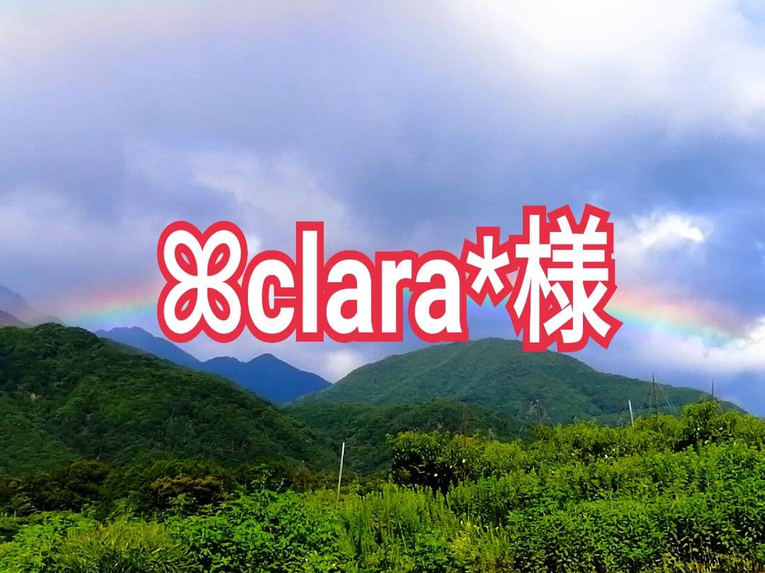 ꕤclara*様　とろとろ枯露柿　絶品甲州百目　干し柿　あんぽ柿　2kg