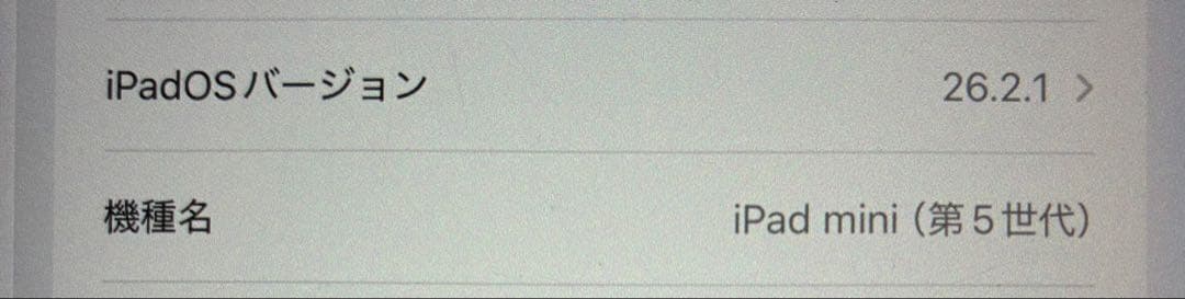 Apple iPad mini (第5世代) スペースグレー