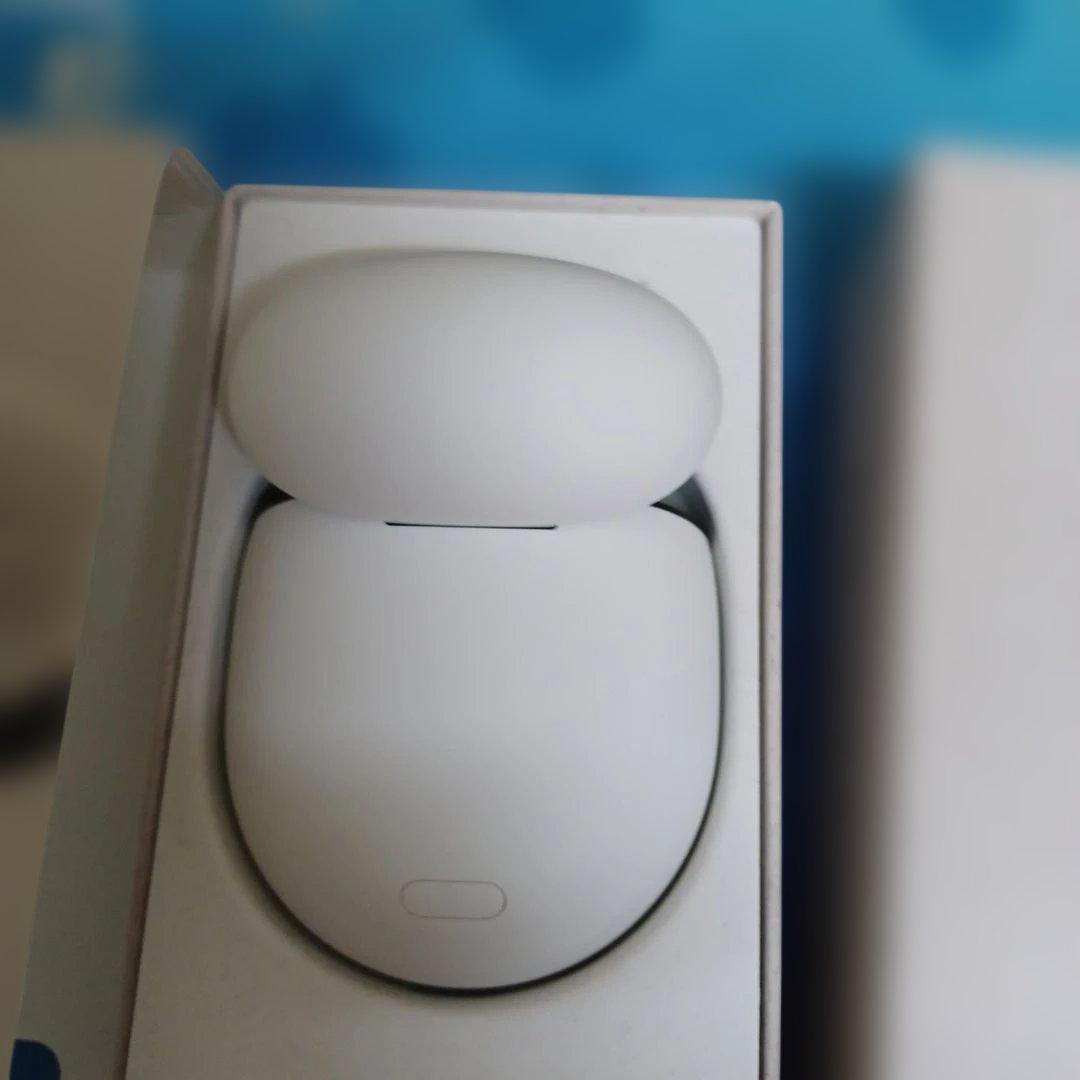 Google Pixel Buds Pro 2 レアーカラー