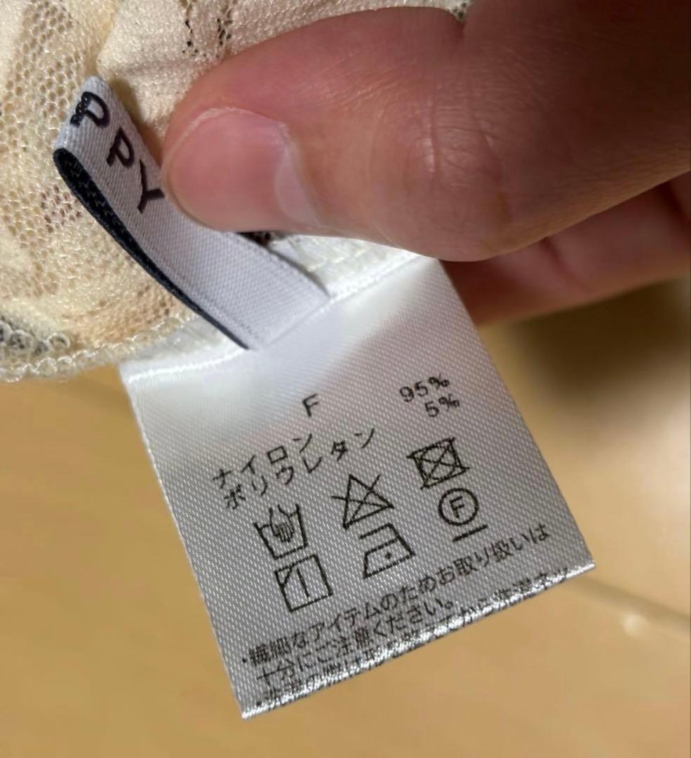 POPPY ドット　レース　シースルートップ　ハイネック