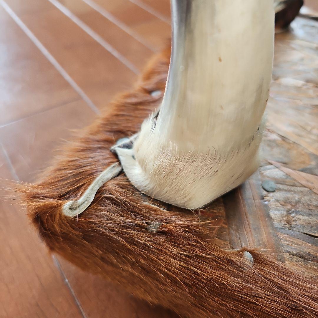 レア！水牛オットマン