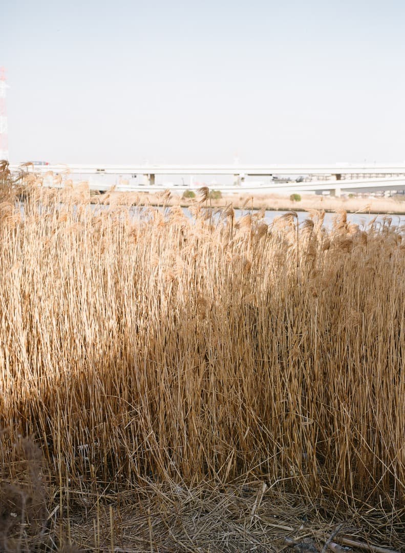 PENTAX 645N + A645 75mm F2.8 完動品