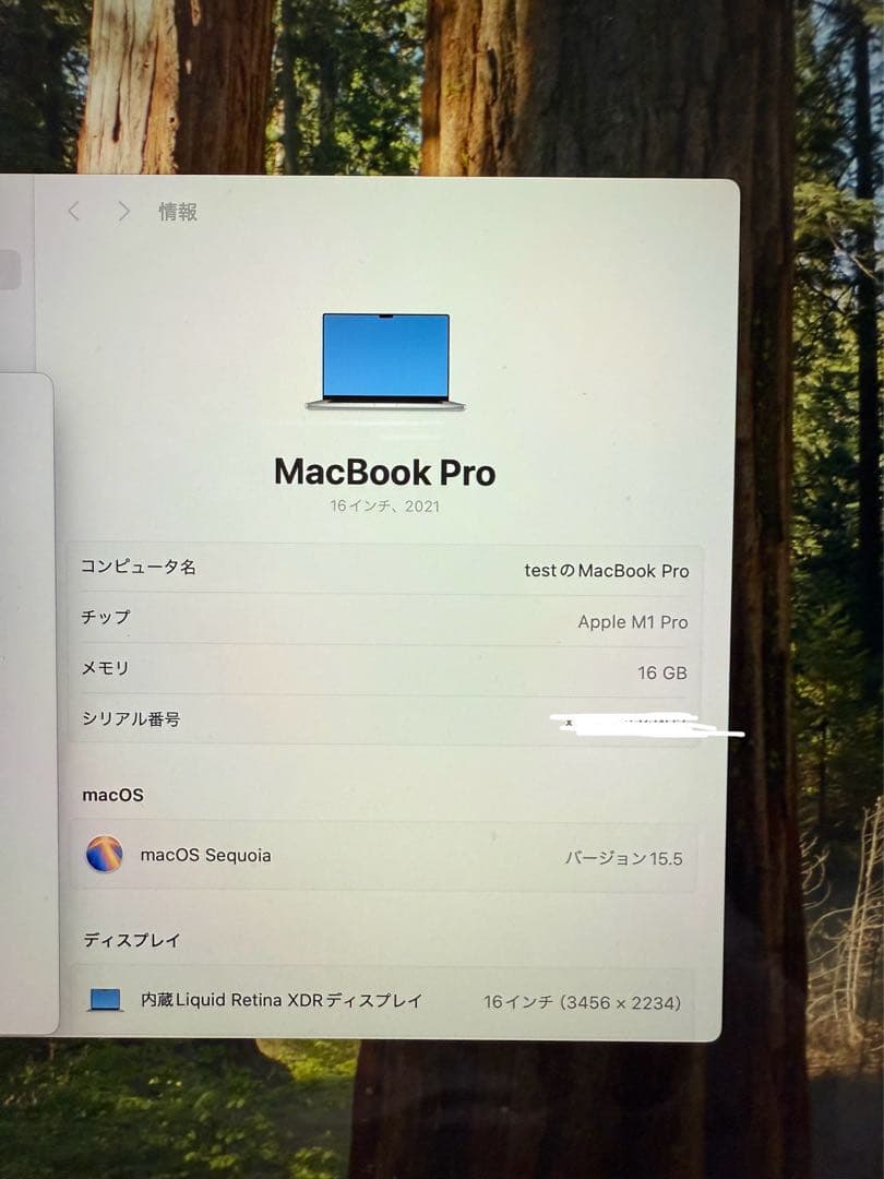 MacBook本体 Apple MacBook Pro (2021) 16GB M1 Pro