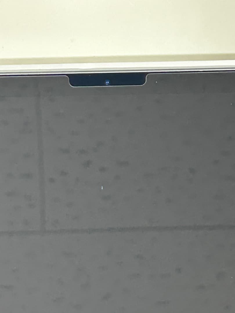 【付属品完備】iPadAir4/第4世代/64GB/WiFi