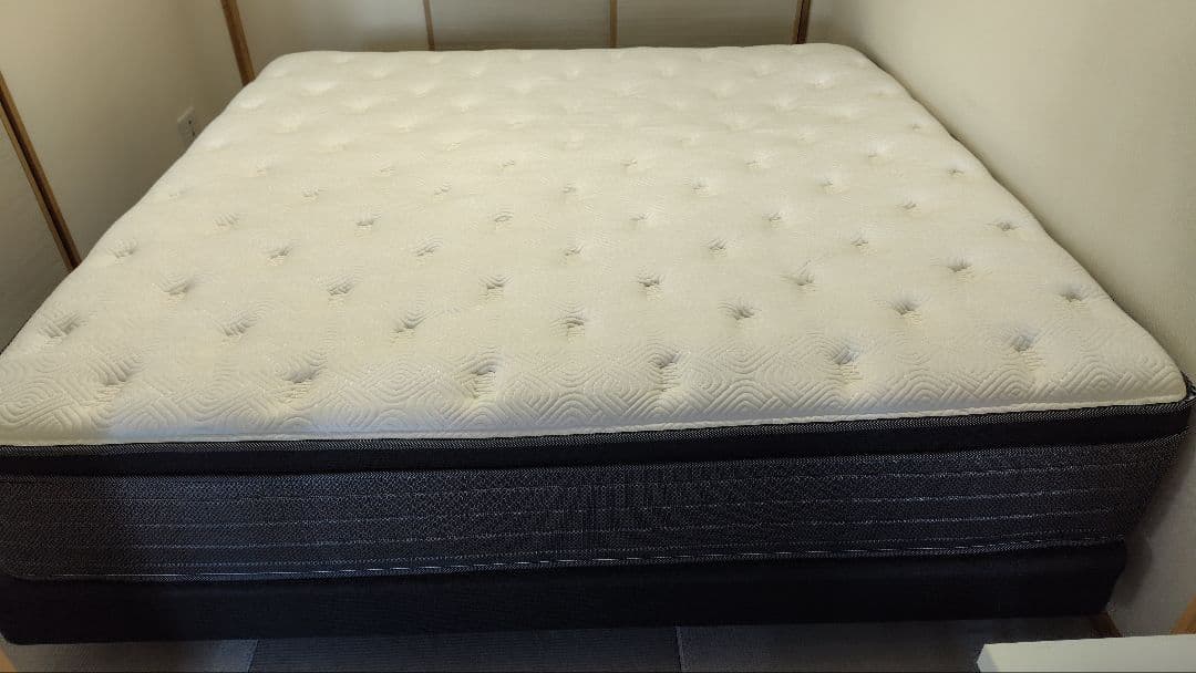 （hqgqgsh様のみ購入できます）シーリー エンベロップET　イースタンキング