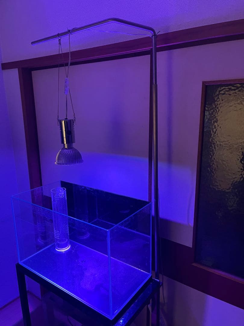 ‼️最終値下げ‼️オーバーフロー60cmガラス水槽フルセット